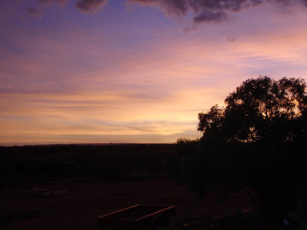 Ningaloo Bed And Breakfast Эксмут Экстерьер фото