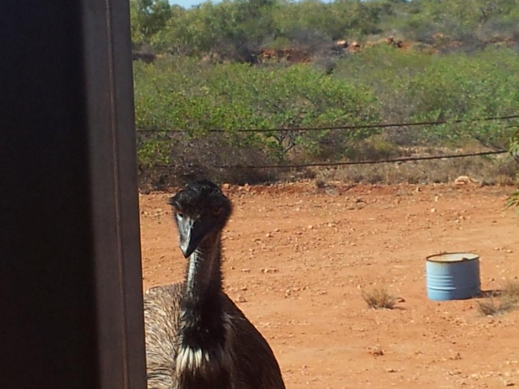 Ningaloo Bed And Breakfast Эксмут Экстерьер фото